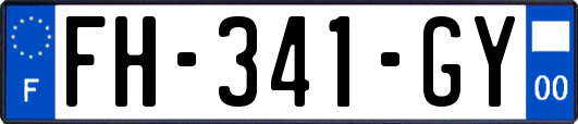 FH-341-GY