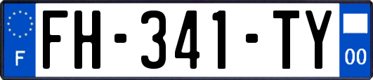 FH-341-TY