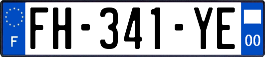 FH-341-YE