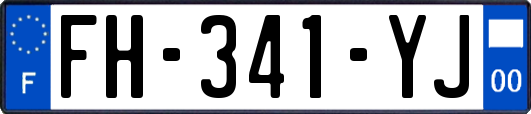 FH-341-YJ
