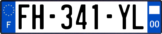 FH-341-YL