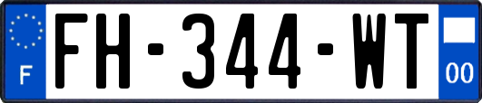 FH-344-WT
