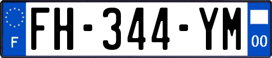 FH-344-YM