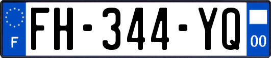 FH-344-YQ