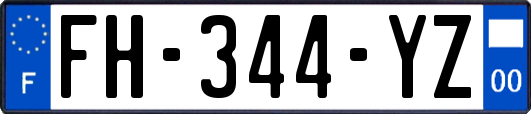 FH-344-YZ
