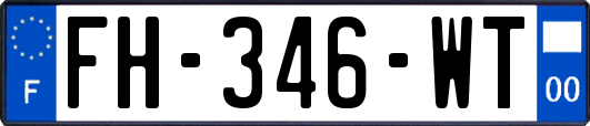 FH-346-WT