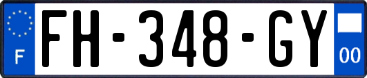 FH-348-GY