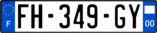 FH-349-GY