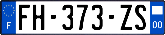 FH-373-ZS