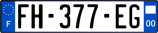 FH-377-EG