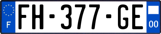 FH-377-GE