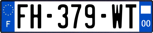 FH-379-WT