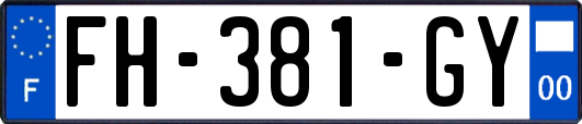 FH-381-GY