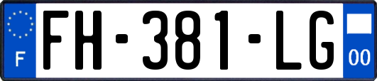 FH-381-LG