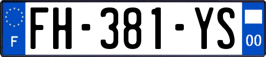 FH-381-YS