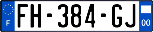 FH-384-GJ