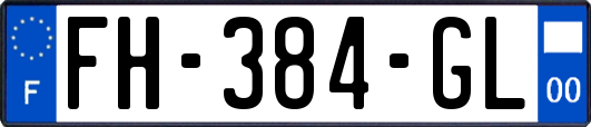 FH-384-GL