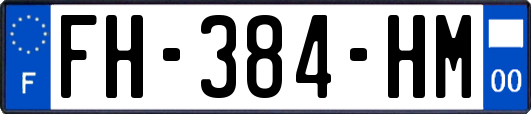 FH-384-HM