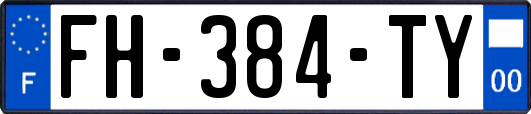 FH-384-TY