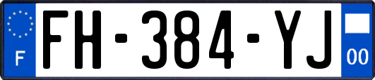 FH-384-YJ