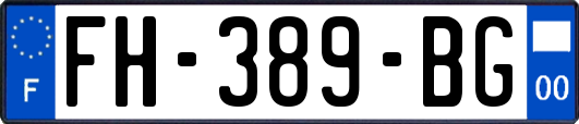 FH-389-BG