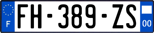 FH-389-ZS