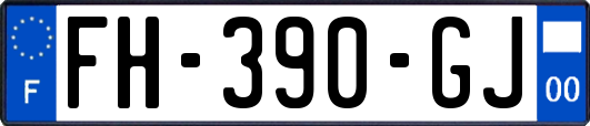 FH-390-GJ