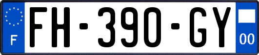 FH-390-GY