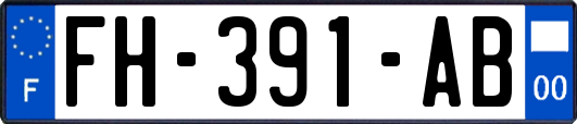 FH-391-AB