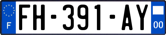 FH-391-AY