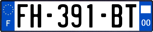 FH-391-BT