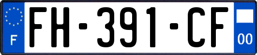 FH-391-CF