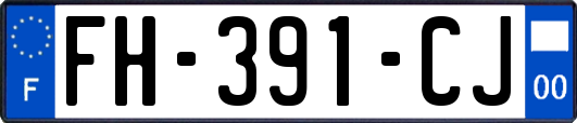 FH-391-CJ