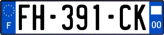 FH-391-CK