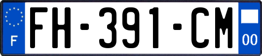 FH-391-CM