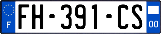 FH-391-CS
