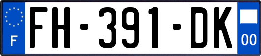 FH-391-DK