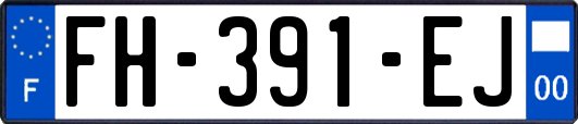 FH-391-EJ