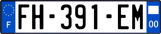 FH-391-EM
