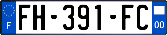FH-391-FC