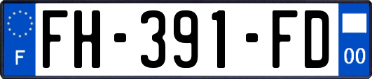 FH-391-FD