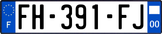 FH-391-FJ