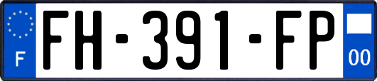 FH-391-FP