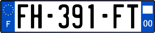 FH-391-FT
