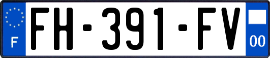 FH-391-FV