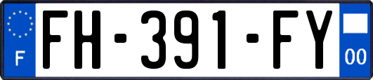 FH-391-FY