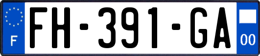 FH-391-GA