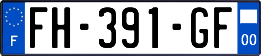 FH-391-GF