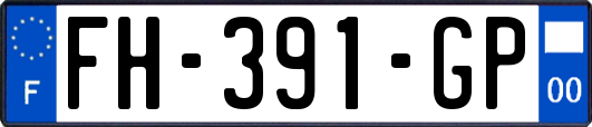 FH-391-GP