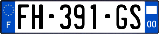 FH-391-GS